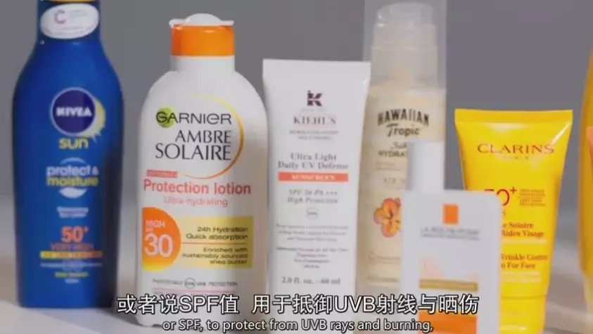 港南区签约4.5亿元设施农业项目