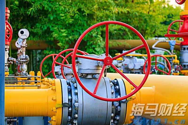 国家助学贷款怎么申请？